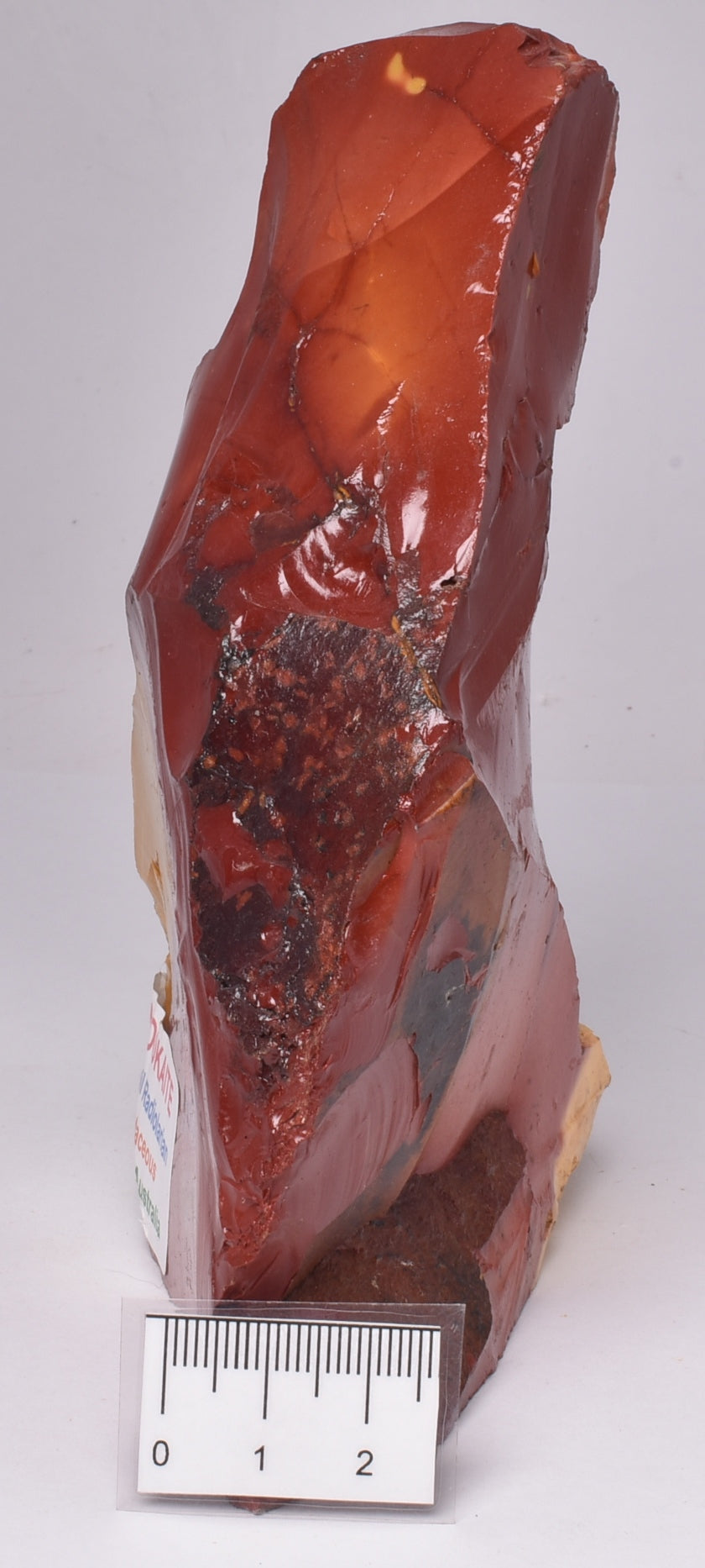 MOOKAITE Polished Slice, FOSSIL RADIOLARIAN Western Australia R05