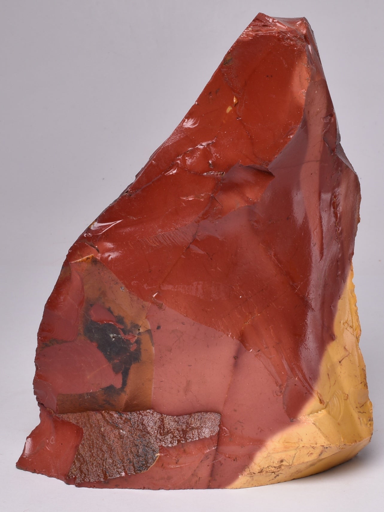 MOOKAITE Polished Slice, FOSSIL RADIOLARIAN Western Australia R05