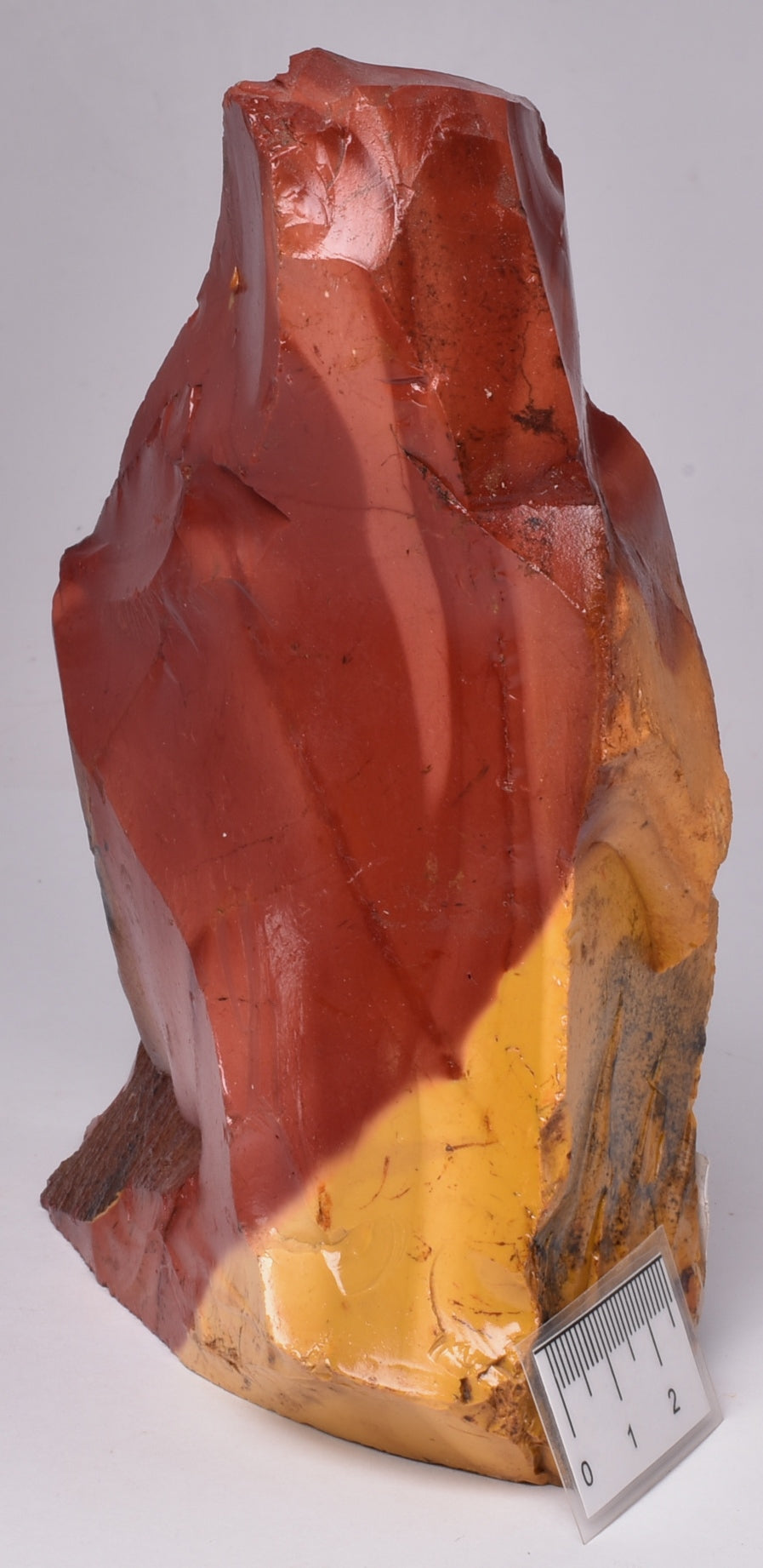 MOOKAITE Polished Slice, FOSSIL RADIOLARIAN Western Australia R05