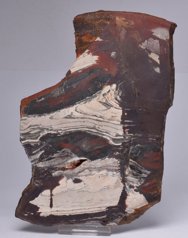 STROMATOLITE from the Jerrinah Formation, Pilbara, Western Australia S16
