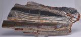 STROMATOLITE from the Jerrinah Formation, Pilbara, Western Australia S19