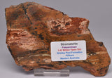 Stromatolite STRELLEY POOL SLICE, 3.4byo, S1027
