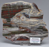 STROMATOLITE from the Jerrinah Formation, Pilbara, Western Australia S357