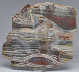 STROMATOLITE from the Jerrinah Formation, Pilbara, Western Australia S357