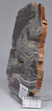 STROMATOLITE from the Jerrinah Formation, Pilbara, Western Australia S357