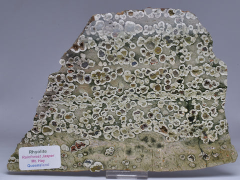 RHYOLITE RAINFOREST JASPER, Polished Slice, Mt Hay QLD Australia S359