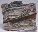 STROMATOLITE from the Jerrinah Formation, Pilbara, Western Australia S172