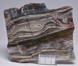 STROMATOLITE from the Jerrinah Formation, Pilbara, Western Australia S172