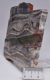 STROMATOLITE from the Jerrinah Formation, Pilbara, Western Australia S172