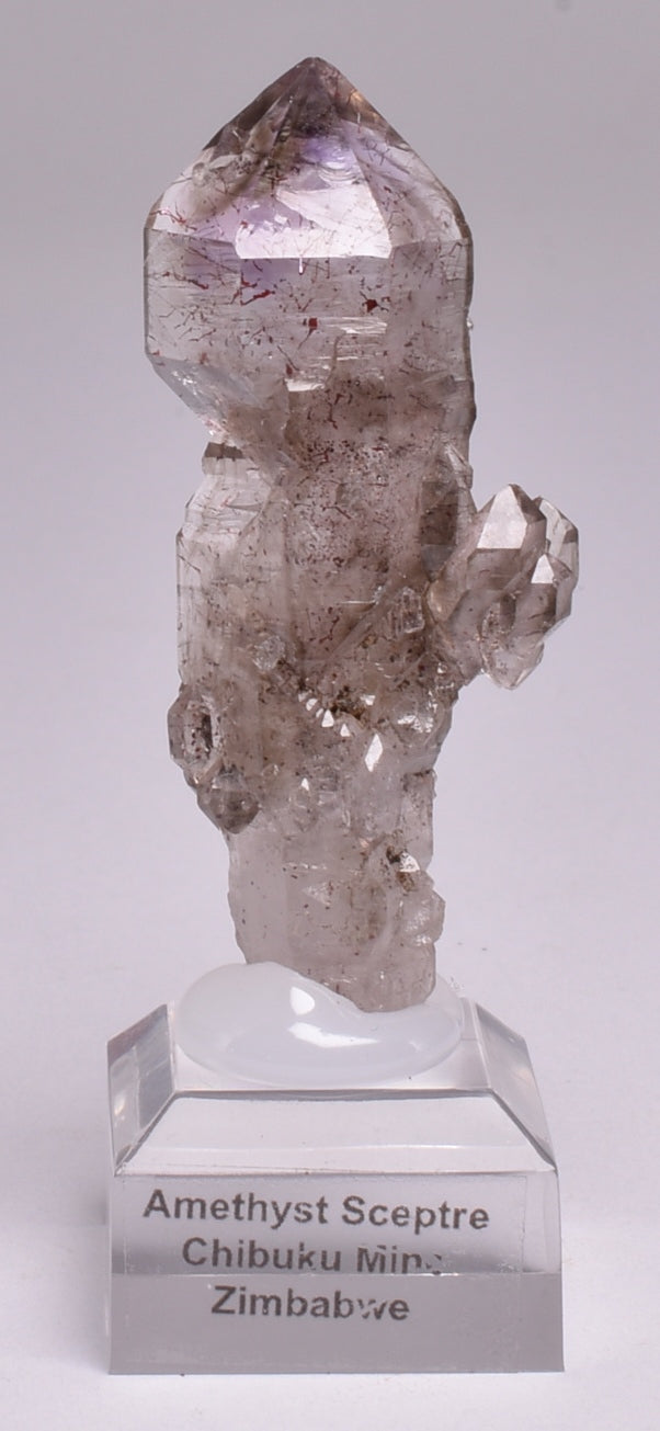 AMETHYST SCEPTER on STAND P638