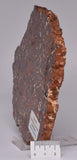 BAUXITE, Aluminium Hydroxide, Polished Slice, Australia S426