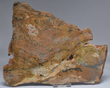 Stromatolite STRELLEY POOL SLICE, S1237