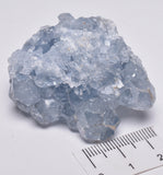 CELESTITE CRYSTAL CLUSTER, Madagascar, P108