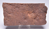 HORODYSKIA Mesoproterozoic 1.4 B.Y.O, AUSTRALIAN FOSSIL F315