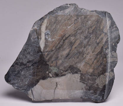 MICROBIALITE, STROMATOLITE, 1640 mya BARNEY CREEK FORMATION, McARTHUR RIVER, AUSTRALIA S792