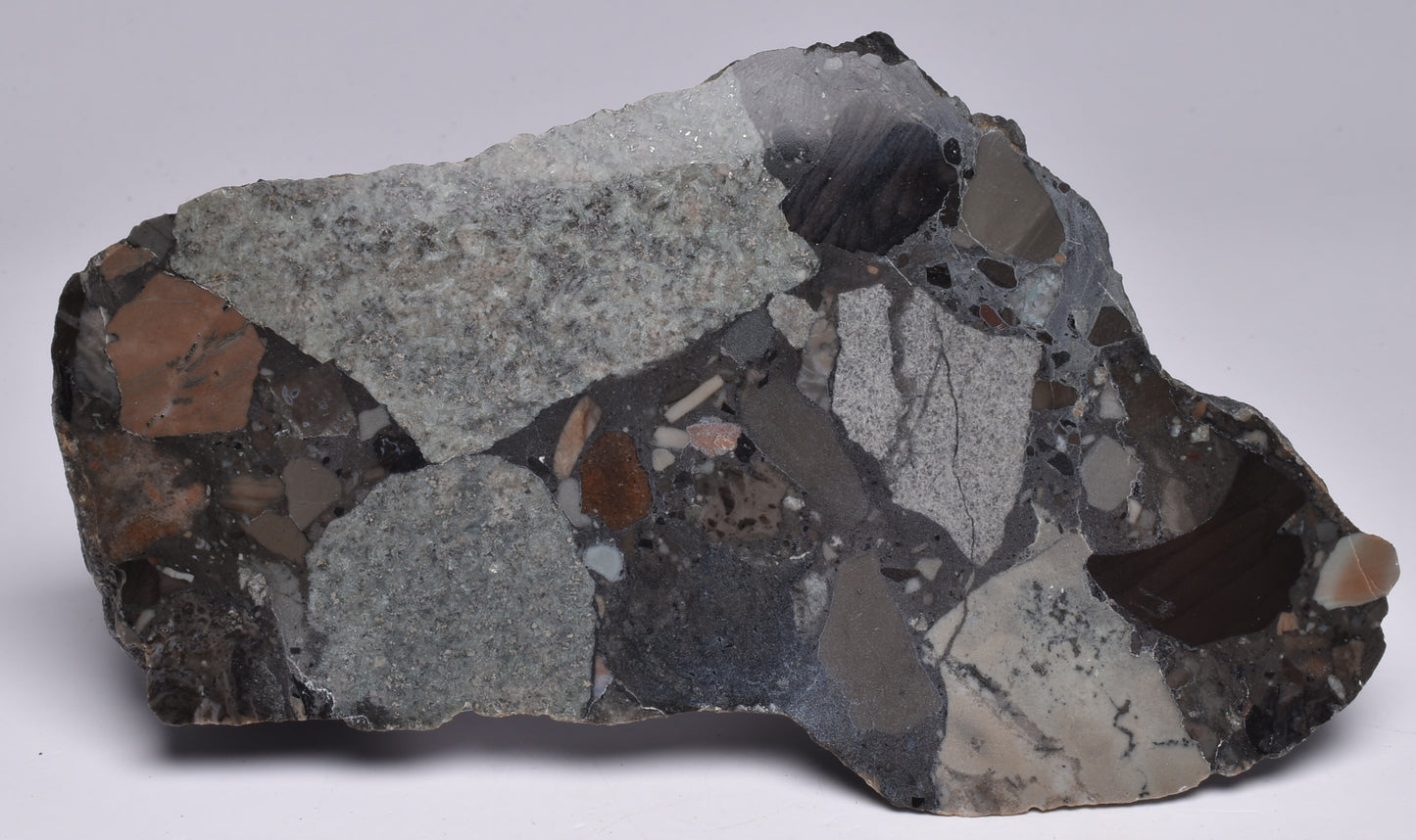MICROBIALITE, STROMATOLITE, 1640 mya BARNEY CREEK FORMATION, McARTHUR RIVER, AUSTRALIA S796