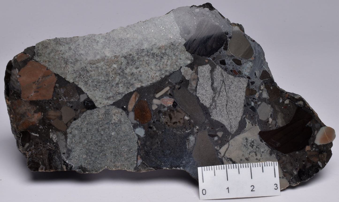 MICROBIALITE, STROMATOLITE, 1640 mya BARNEY CREEK FORMATION, McARTHUR RIVER, AUSTRALIA S796