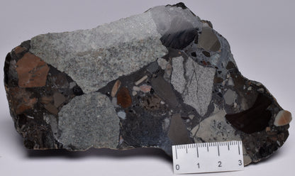 MICROBIALITE, STROMATOLITE, 1640 mya BARNEY CREEK FORMATION, McARTHUR RIVER, AUSTRALIA S796