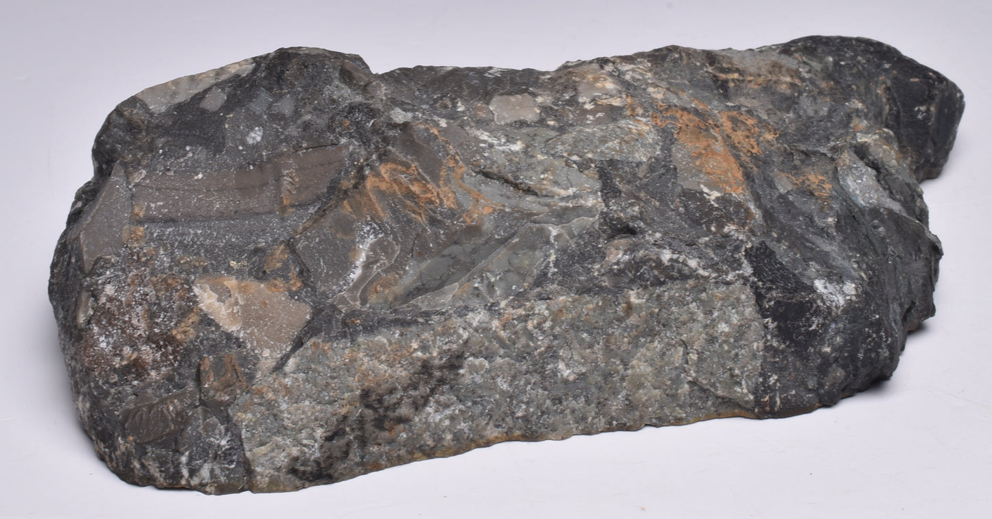 MICROBIALITE, STROMATOLITE, 1640 mya BARNEY CREEK FORMATION, McARTHUR RIVER, AUSTRALIA S796