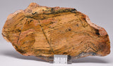 Stromatolite STRELLEY POOL SLICE, 3.4byo, S1089