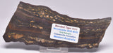 BANDED TIGER IRON Polished Slice, AUSTRALIA S1127