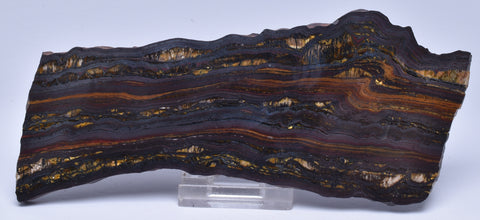 BANDED TIGER IRON Fossil Polished Slice, AUSTRALIA S1130