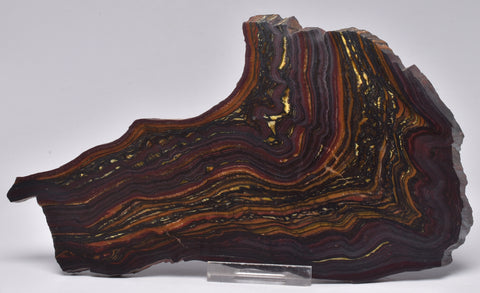 BANDED TIGER IRON Fossil Polished Slice, AUSTRALIA S1014