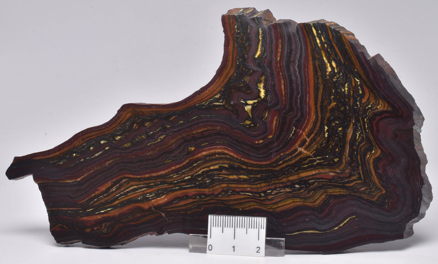 BANDED TIGER IRON Fossil Polished Slice, AUSTRALIA S1014