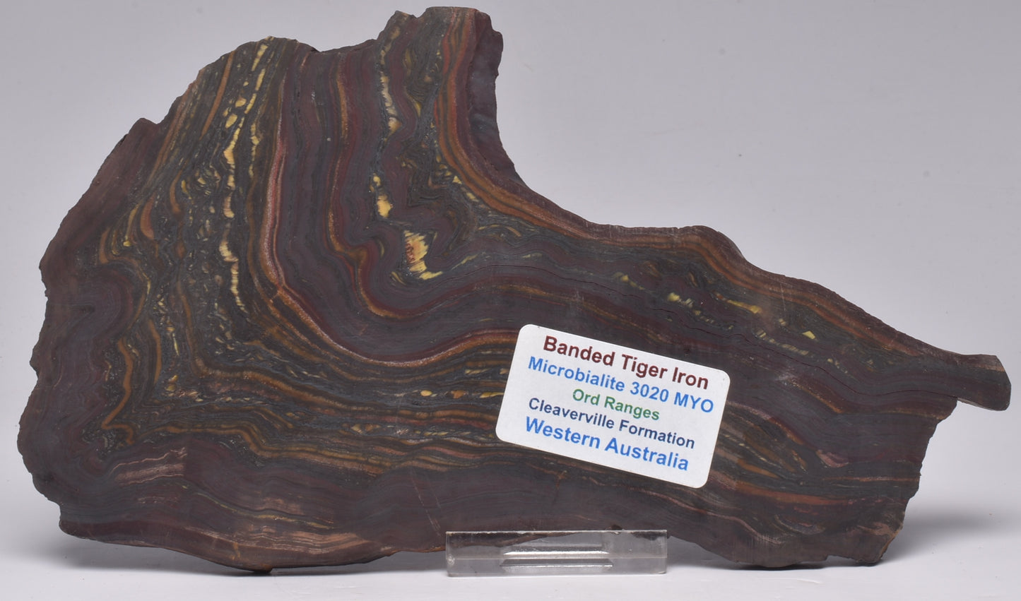 BANDED TIGER IRON Fossil Polished Slice, AUSTRALIA S1014