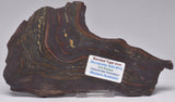 BANDED TIGER IRON Fossil Polished Slice, AUSTRALIA S1014