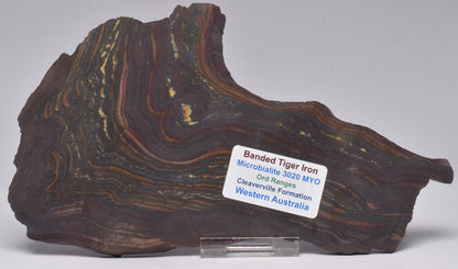 BANDED TIGER IRON Fossil Polished Slice, AUSTRALIA S1014