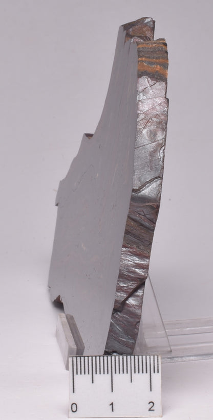 BANDED TIGER IRON Fossil Polished Slice, AUSTRALIA S1014