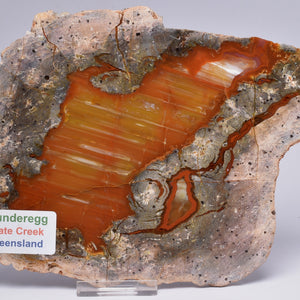 Thunder Egg Agate