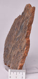 ZIRCON, Metaconglomerate Narryer Gneiss Slice, Jack Hills, Australia S498