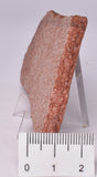 ZIRCON, Metaconglomerate Narryer Gneiss Slice, Jack Hills, Australia S492