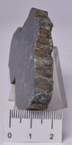 MICROBIALITE  STROMATOLITE, Isua banded iron, 3.77 B.Y.A. Greenland S507
