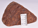 ZIRCON, Metaconglomerate Narryer Gneiss Slice, Jack Hills, Australia S515