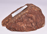 ZIRCON, Metaconglomerate Narryer Gneiss Slice, Jack Hills, Australia S515