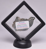 MICROBIALITE STROMATOLITE, ISUA BANDED IRON, 3.77 B.Y.A. GREENLAND S62