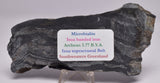 MICROBIALITE  STROMATOLITE, Isua banded iron, 3.77 B.Y.A. Greenland S64