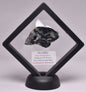 MICROBIALITE  STROMATOLITE, Isua banded iron, 3.77 B.Y.A. Greenland S72