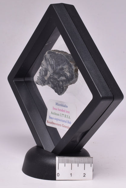 MICROBIALITE  STROMATOLITE, Isua banded iron, 3.77 B.Y.A. Greenland S72