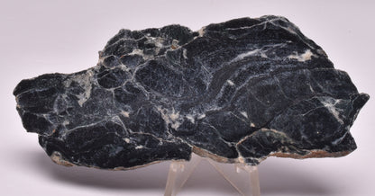 MICROBIALITE STROMATOLITE, Isua banded iron, 3.77 B.Y.A. Greenland S77
