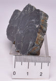MICROBIALITE STROMATOLITE, Isua banded iron, 3.77 B.Y.A. Greenland S77