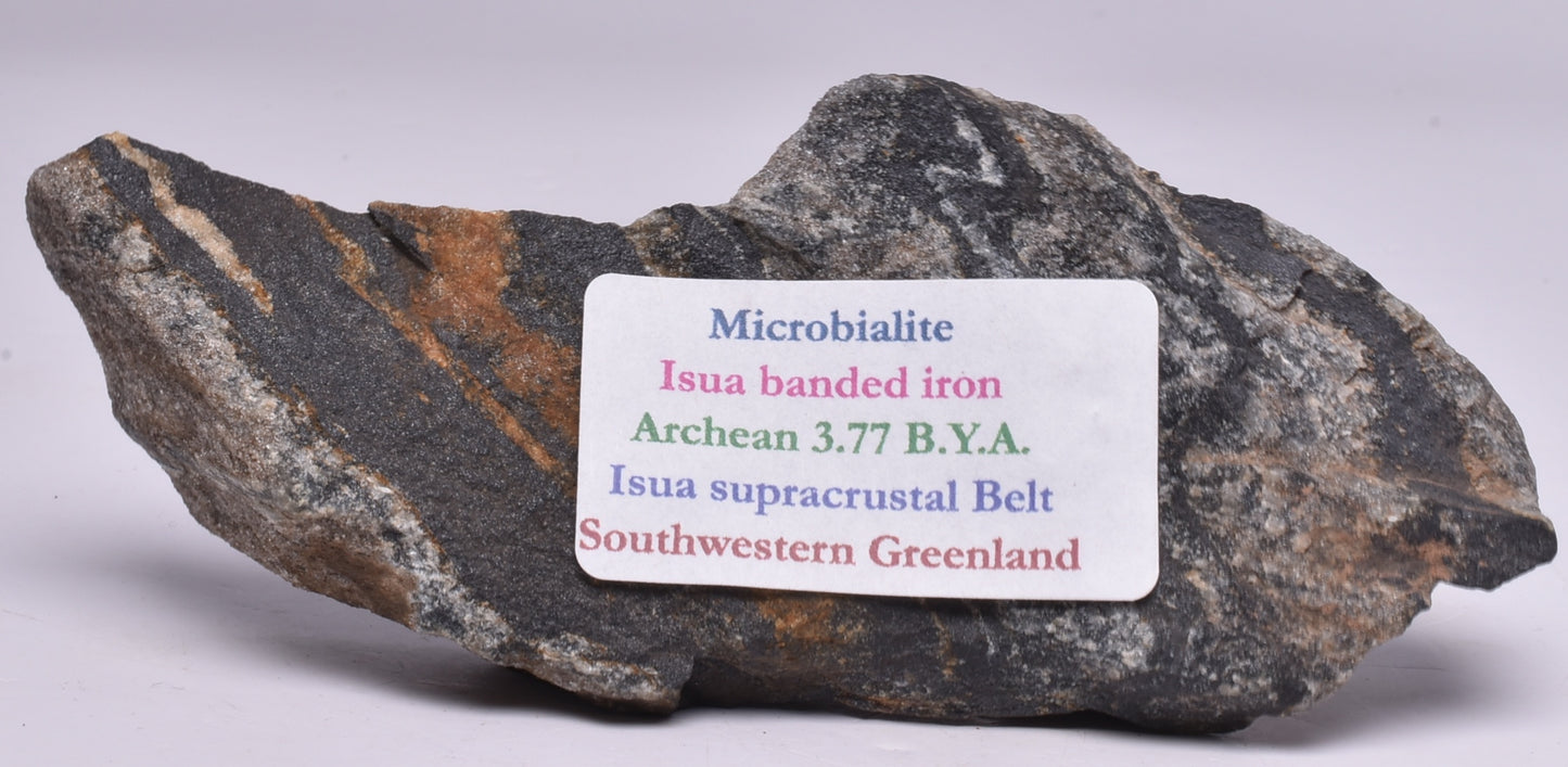 MICROBIALITE STROMATOLITE, Isua banded iron, 3.77 B.Y.A. Greenland S35