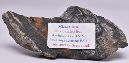 MICROBIALITE STROMATOLITE, Isua banded iron, 3.77 B.Y.A. Greenland S35