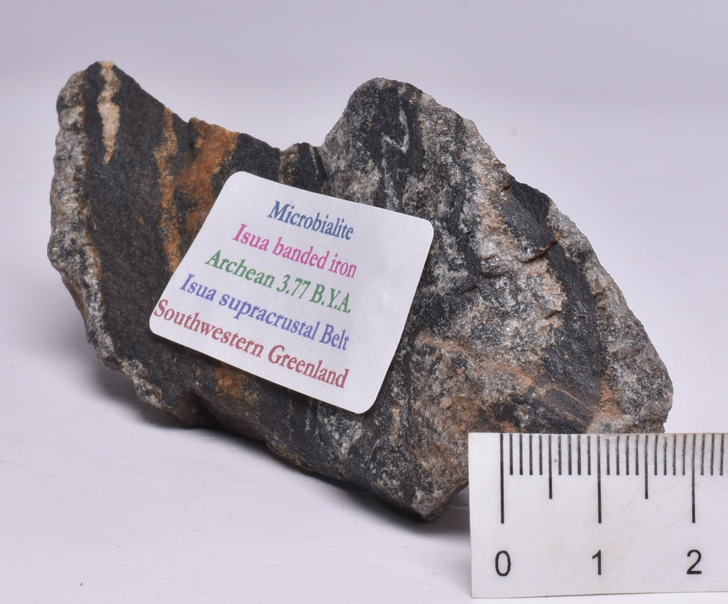 MICROBIALITE STROMATOLITE, Isua banded iron, 3.77 B.Y.A. Greenland S35