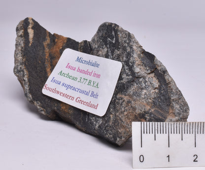 MICROBIALITE STROMATOLITE, Isua banded iron, 3.77 B.Y.A. Greenland S35