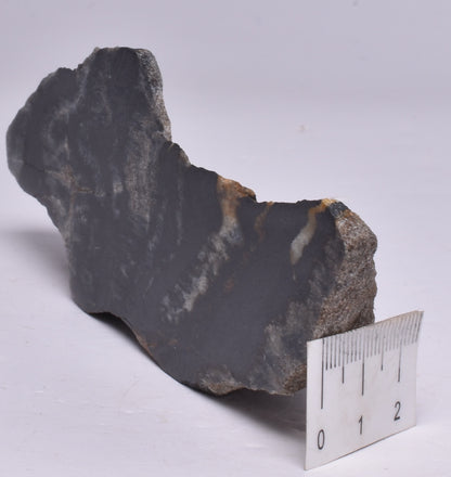 MICROBIALITE STROMATOLITE, Isua banded iron, 3.77 B.Y.A. Greenland S35