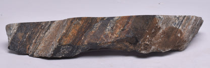 MICROBIALITE STROMATOLITE, Isua banded iron, 3.77 B.Y.A. Greenland S35